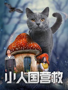 BD国语全集免费观看
