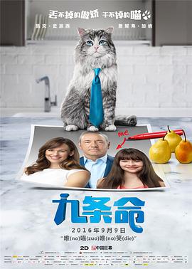 DVD无删减90分钟观看