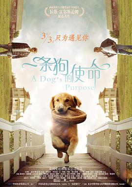 高清蓝光在线观看