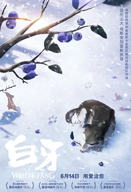 蓝光原盘