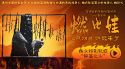 超清HD高清在线观看