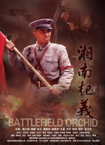杜比视界