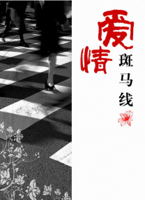 DVD无删减90分钟观看