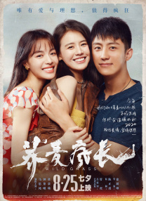 全集在线观看