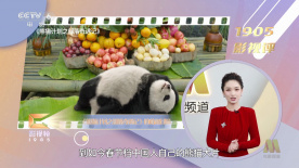 蓝光原盘在线观看